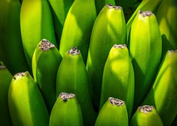 Survival Health Hacks: Essential Tips for Thriving in Any Situation