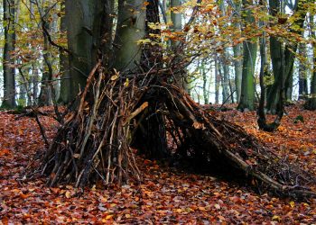 Essential Medical Supplies: Your Comprehensive Guide to Stocking Up for Any Situation