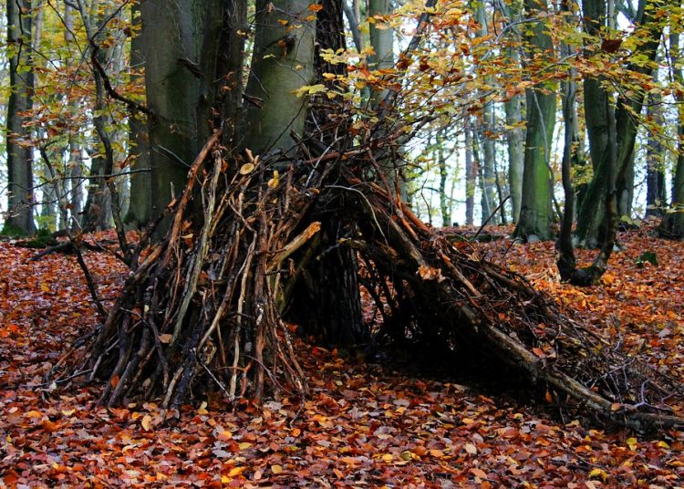 Essential Medical Supplies: Your Comprehensive Guide to Stocking Up for Any Situation