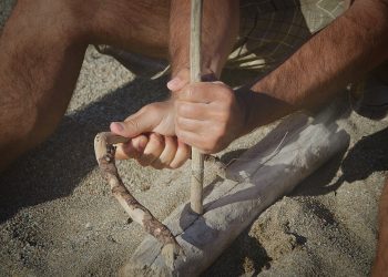 Mastering the Wild: Essential Survival Skills for Thriving in the Outdoors