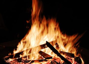 Surviving the Concrete Jungle: A Guide to Urban Prepping