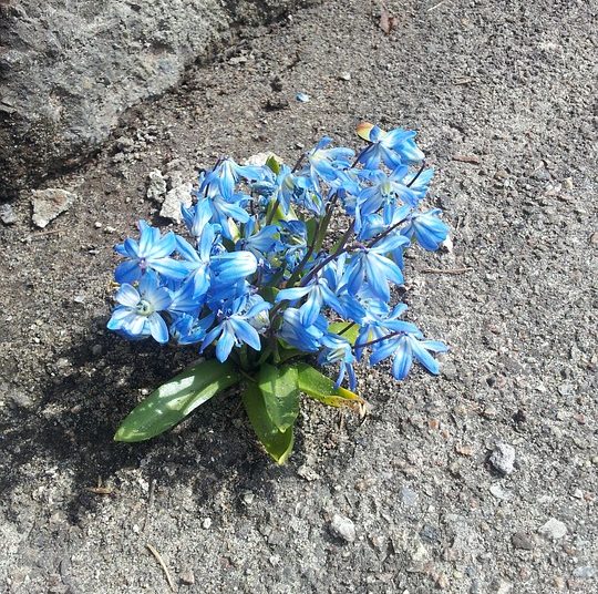 Building Stronger Together: The Power of Community Resilience