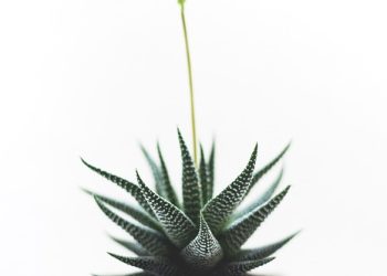 Breaking Point: The Urgent Crisis of Mental Health