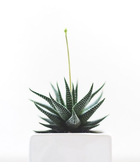 Breaking Point: The Urgent Crisis of Mental Health