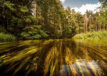 Pure Waters: Exploring Innovative Water Purification Methods for a Clean Future