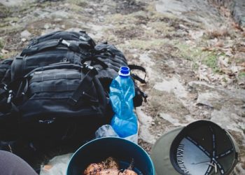 The Art of Food Foraging: Discovering Nature’s Bounty