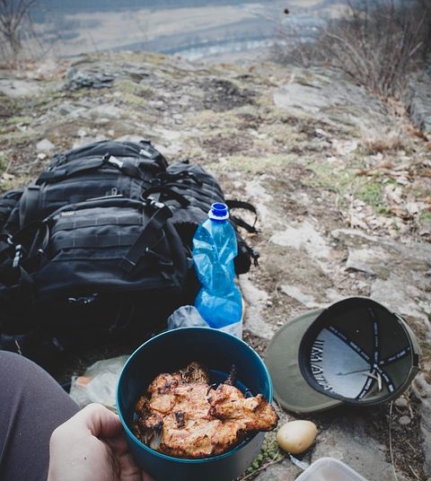 The Art of Food Foraging: Discovering Nature’s Bounty