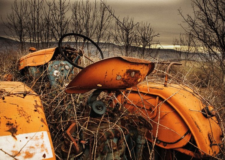 The Ultimate Guide to Creative Food Storage Solutions: Maximizing Space and Freshness