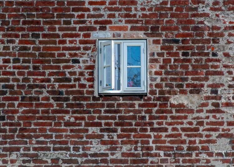 survival shelter building