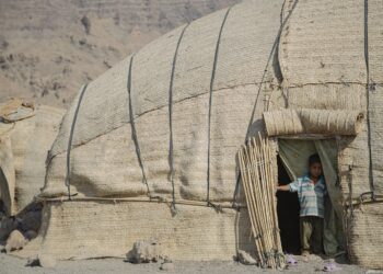 survival shelter building