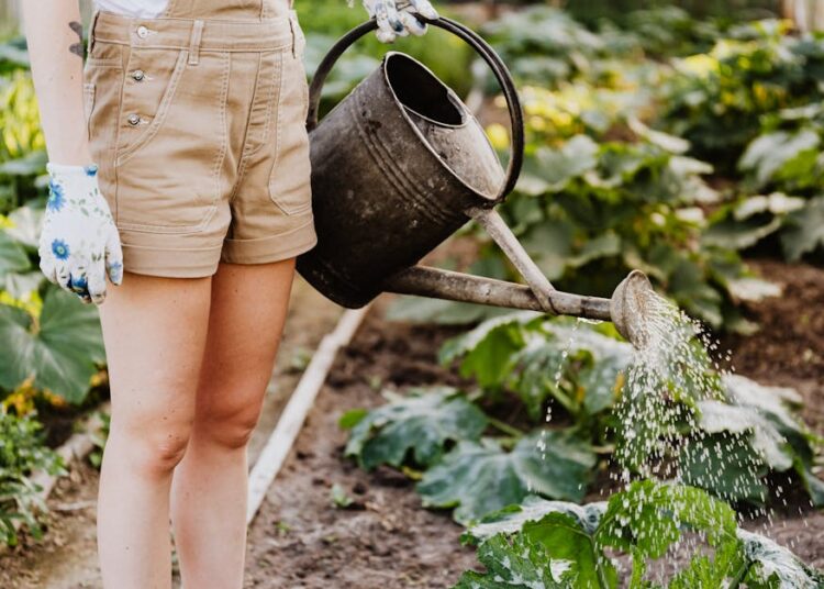 edible survival plants