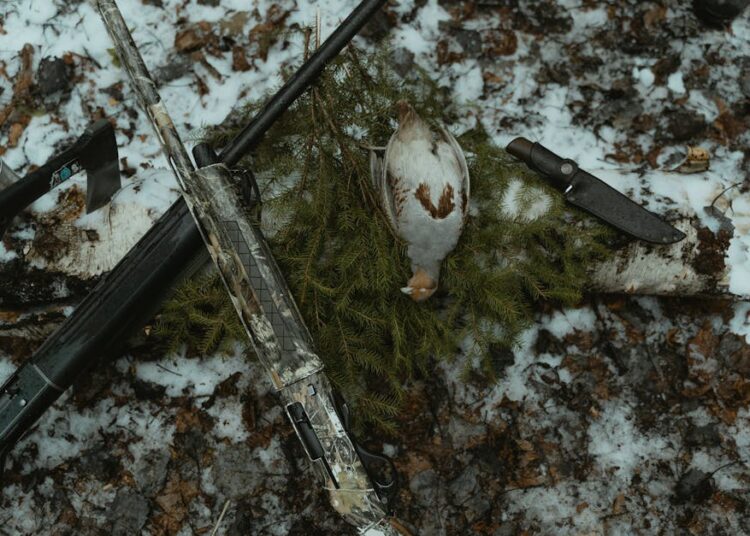 survival gear