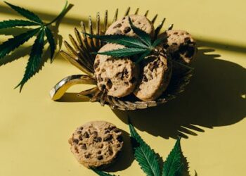 edible survival plants