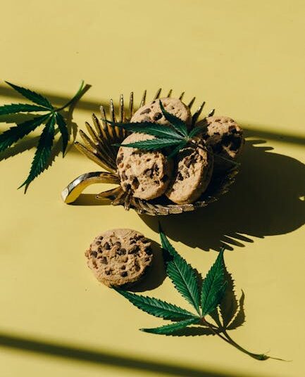 edible survival plants